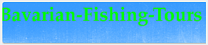 zur Hompage