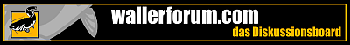 zum Forum