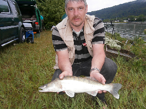 Ja Endlich, Hörbie hat seinen Zander gefangen am Tage . Auf Nacht schläft ja der Herr !!! Chris und ich müssen dann die Fakies fangen ...Grins